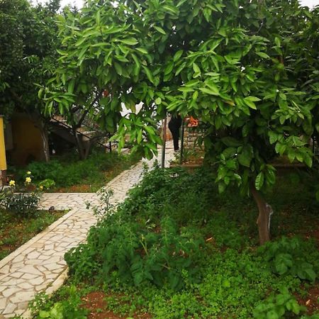 Apartment Dalmatini Tar-Vabriga 外观 照片